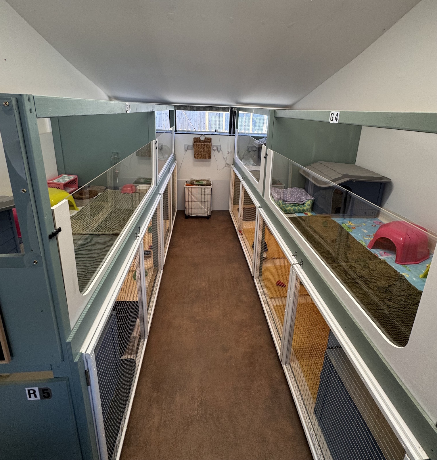 Guinea pig suites G1 to G4