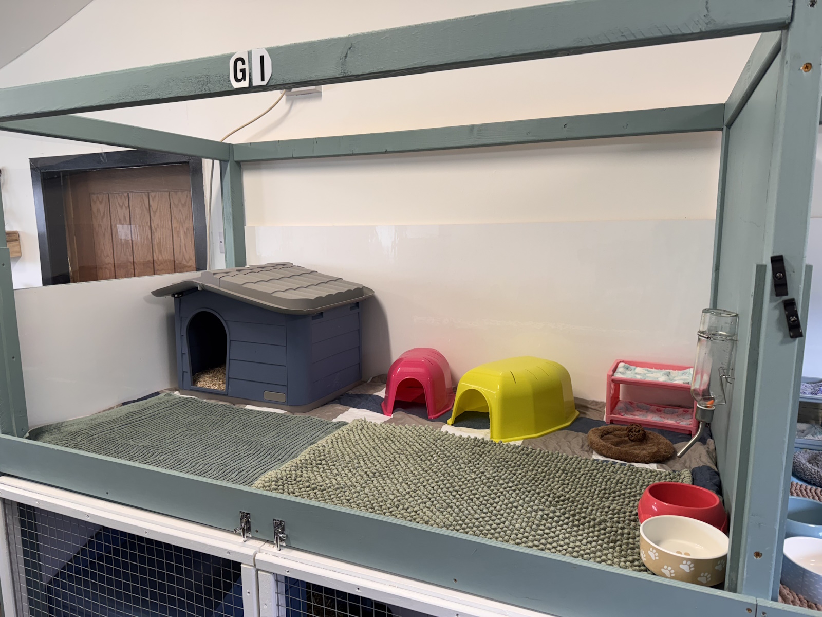 Guinea pig suite G1