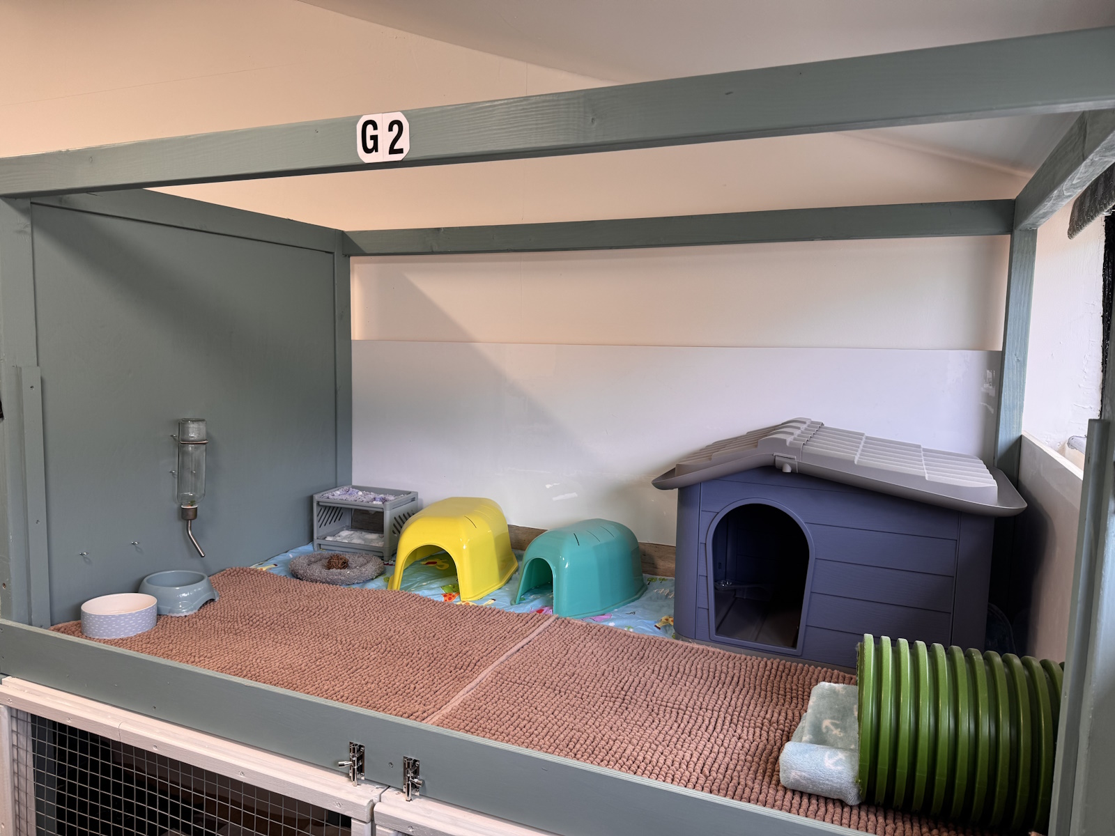 Guinea pig suite G2