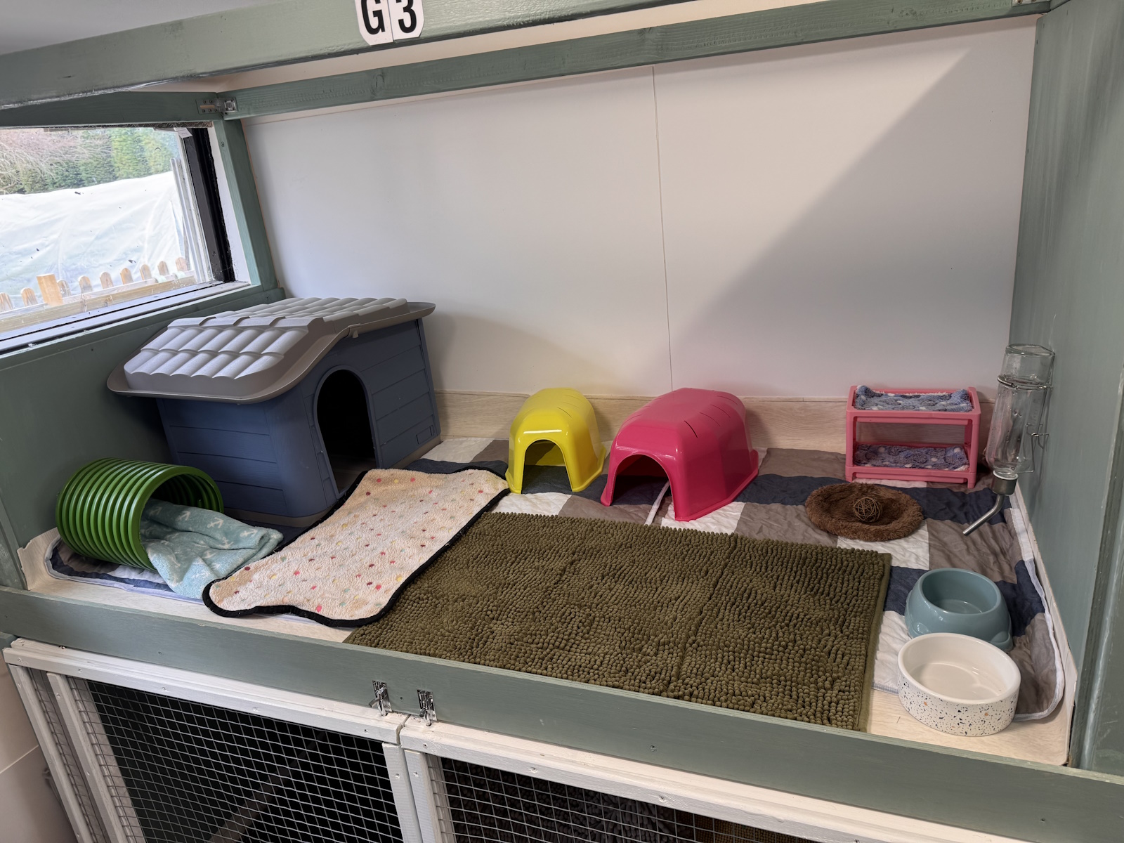 Guinea pig suite G3